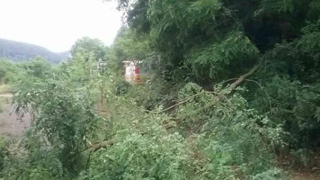 420203_burky popadane stromy hasici 676x507.jpg