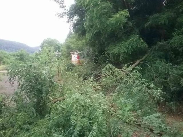 420203_burky popadane stromy hasici 676x507.jpg