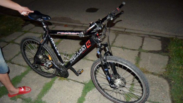 420401_dsc_0010 676x407.jpg