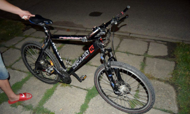 420401_dsc_0010 676x407.jpg