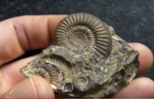 420679_skye 676x437.jpg