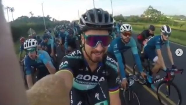 420724_peter sagan panama.jpg