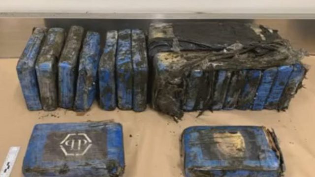 421023_kokain 1 676x416.jpg