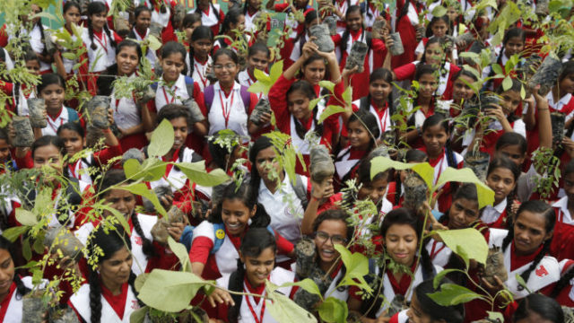 421158_india_tree_planting_07509 37126b51beaf41fba9ccd793120bb34b 676x451.jpg
