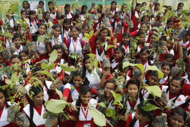 421158_india_tree_planting_07509 37126b51beaf41fba9ccd793120bb34b 676x451.jpg
