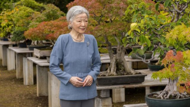 421166_japan_empress_92324 5f003de7c95847dd8faa50aa6c36ed68 676x451.jpg
