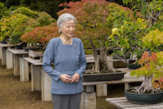 421166_japan_empress_92324 5f003de7c95847dd8faa50aa6c36ed68 676x451.jpg