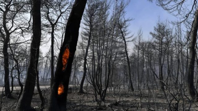 421655_greece_wildfires_35063 78cf6c4522754e5881dcb3d67573029e 676x451.jpg
