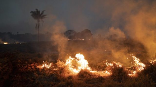 422410_brazil_amazon_fires_73015 ad2361fd8b904d498511dc29a32ad3b7 676x451.jpg