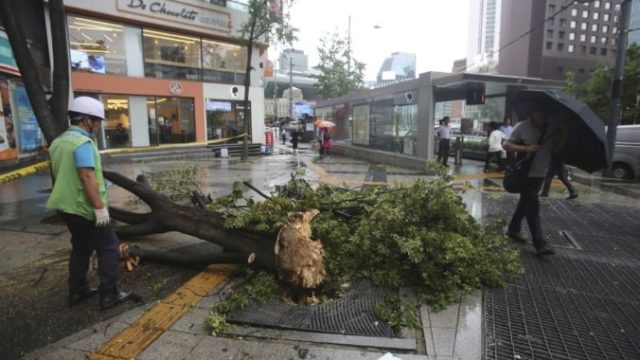 423507_south_korea_koreas_typhoon_26649 5308fdd5530f46b9aa4b28f1b69c3e8d 676x448.jpg