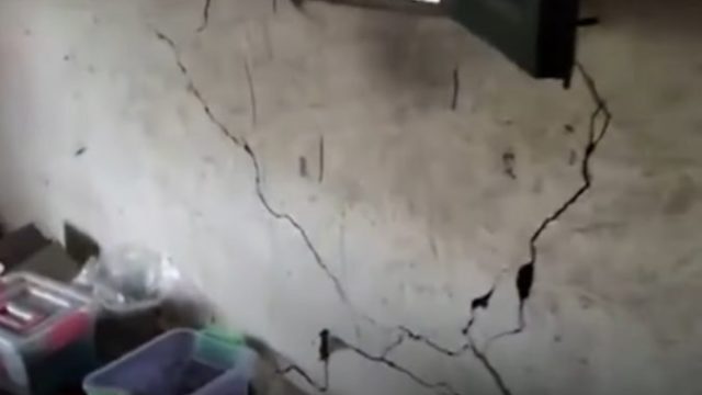 423549_cina 676x434.jpg