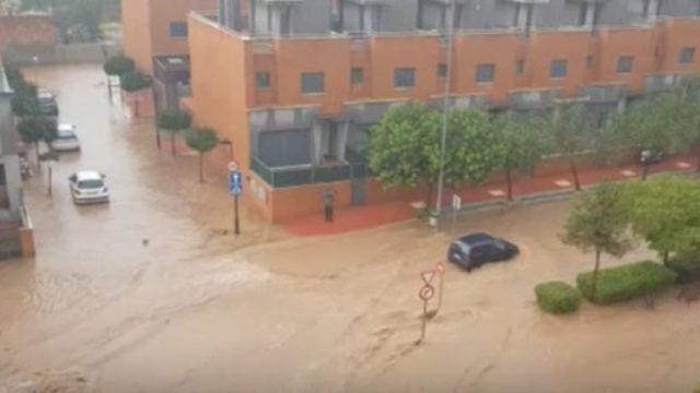 423971_spain 676x300.jpg