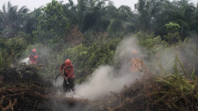 424340_indonezia 676x451.jpg