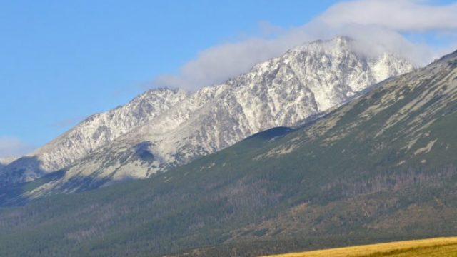 424583_dsc4766 676x448.jpg