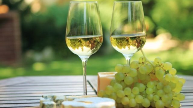 424623_biele vino_01 676x487.jpg