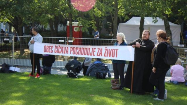 424827_img_8209 676x451.jpg