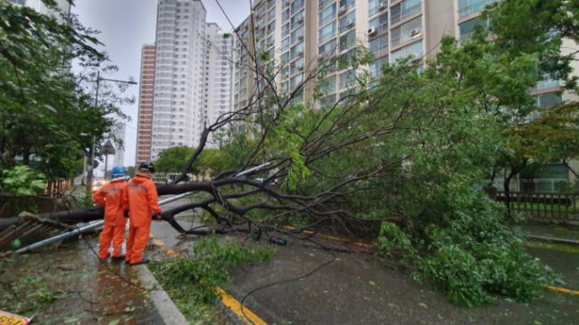 424890_south_korea_asia_typhoon_78276 f86a250ccf644329a42e838fd19286db 676x507.jpg