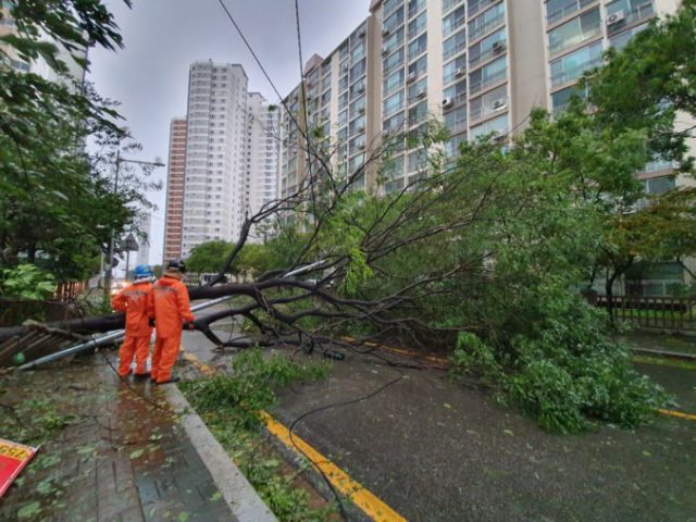 424890_south_korea_asia_typhoon_78276 f86a250ccf644329a42e838fd19286db 676x507.jpg