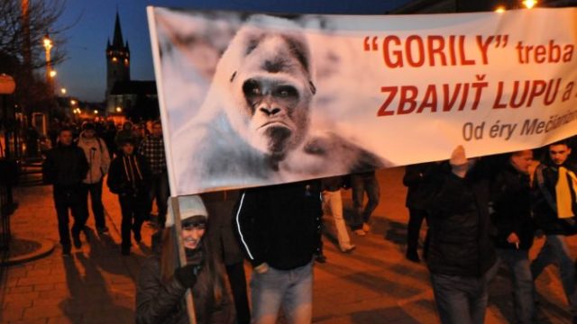 425290_gorila protest 676x431.jpg