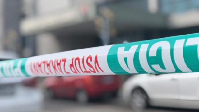 425297_policia 1 676x506.jpg
