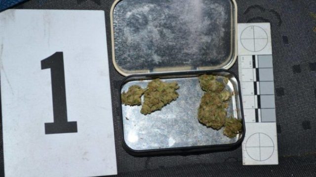 425777_marihuana 1 676x451.jpg