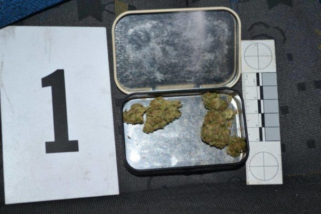 425777_marihuana 1 676x451.jpg