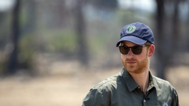 425970_harry 676x450.jpg