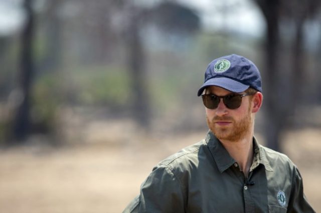 425970_harry 676x450.jpg