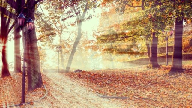 426112_jesen slnko 676x373.jpg