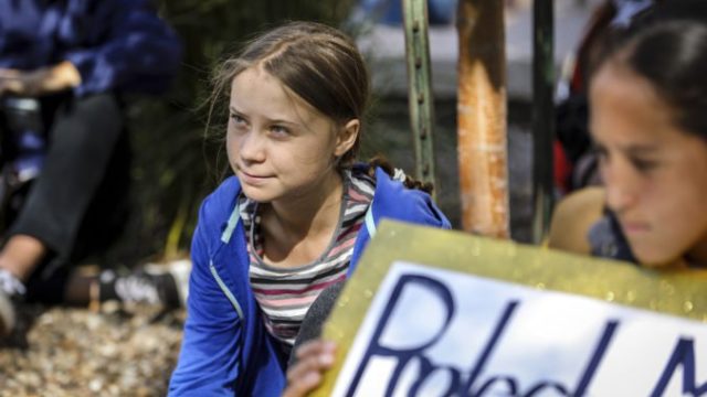 426307_greta 676x451.jpg