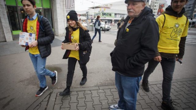 426478_narcis 7 676x479.jpg