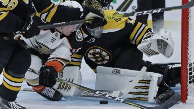 426849_jaroslav halak nhl boston bruins 676x451.jpg