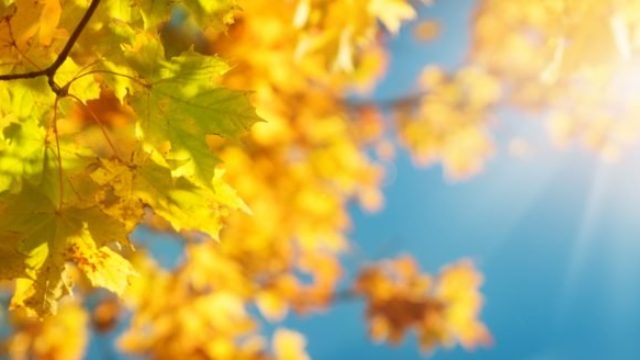 427436_slnko jesen 676x328.jpg