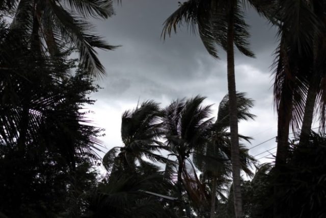 427832_dazd 676x451.jpg