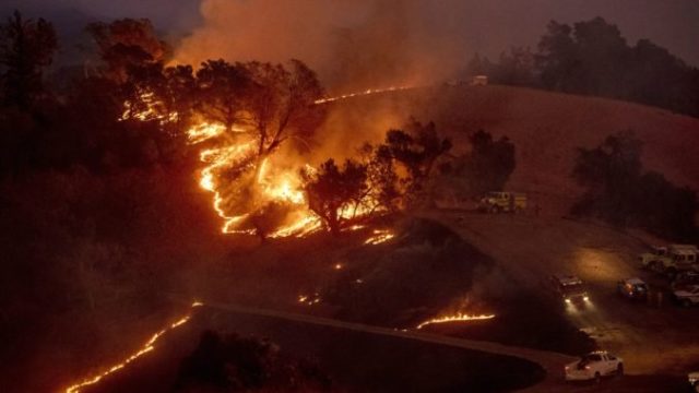 427891_lesny poziar kalifornia 676x451.jpg