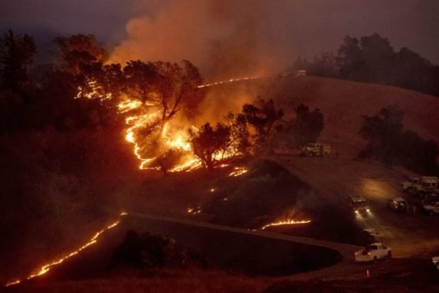 427891_lesny poziar kalifornia 676x451.jpg