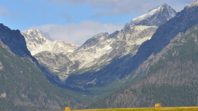 428229_dsc4769 676x448.jpg