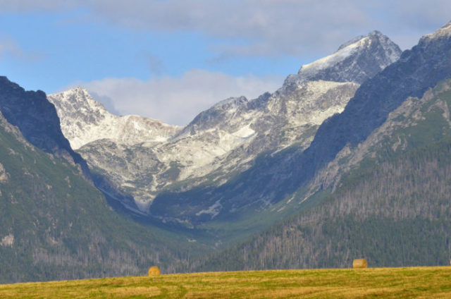 428229_dsc4769 676x448.jpg