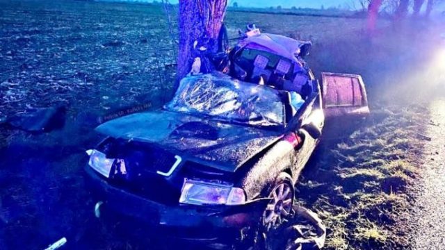 428419_74325796_2204683706298120_1092806604006359040_n 676x507.jpg