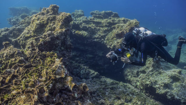428515_greece_ancient_shipwrecks_80833 fb0d76b1b07445d2bd228b9b284bef6e 676x451.jpg
