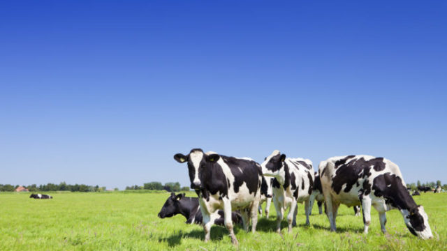 429025_gettyimages 171383024 676x451.jpg