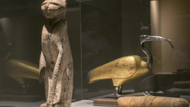 429098_ancient_animal_mummies dbb1a25f9e7f4d14862eda153c78c1f3 676x480.jpeg