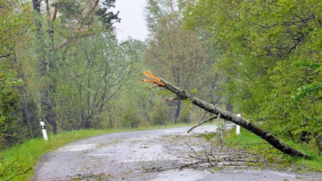 429210_strom vietor tatry 676x448.jpg