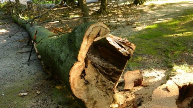 429995_75435751_2513010232264648_3617699091414253568_o 676x507.jpg