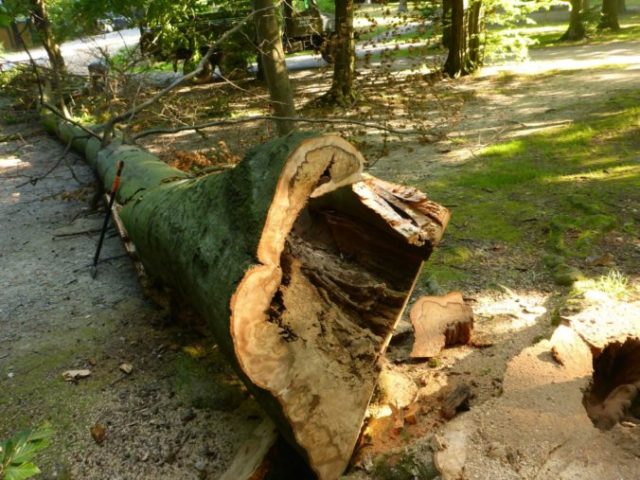 429995_75435751_2513010232264648_3617699091414253568_o 676x507.jpg