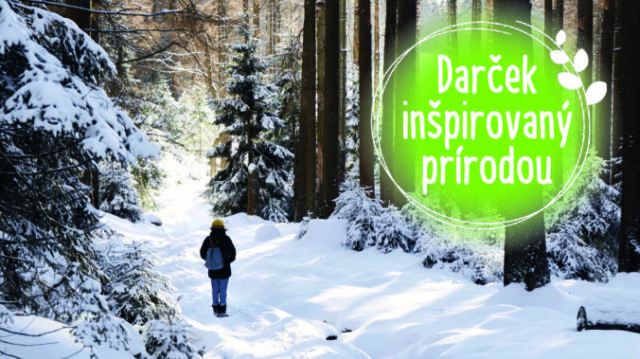 431865_eko darcek eatgreen 676x379.jpg
