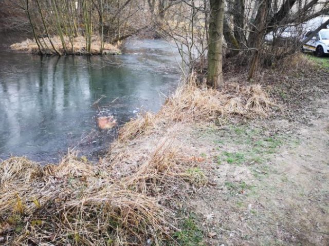 432643_001 1 1 676x507.jpg