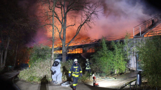 432660_germany_zoo_fire_35073 a6384b6354964ce89b5fb00d1933087b 676x451.jpg