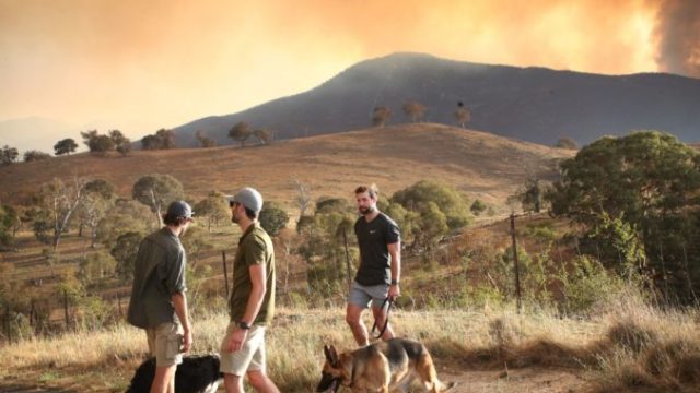 434204_australia_wildfires_92184 ec8a7d33e9a84532a09d2aa2c0523f35 676x450.jpg