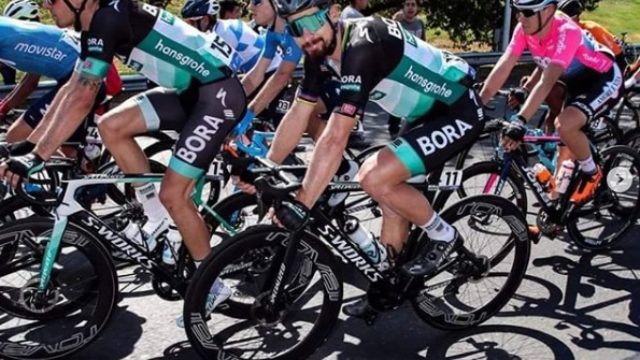 434306_peter sagan bora hansgrohe 2.jpg